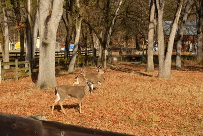 DSC_5844 (Large).JPG